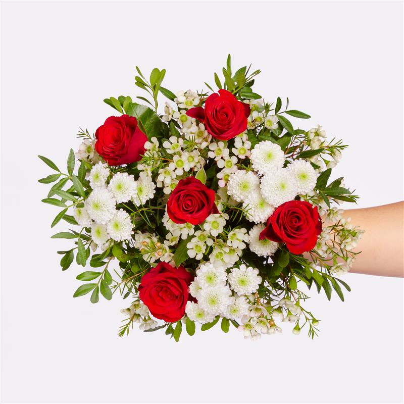 Strauß der Woche 11.-17.12.25