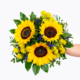 Strauß der Woche 9.-15.7.26